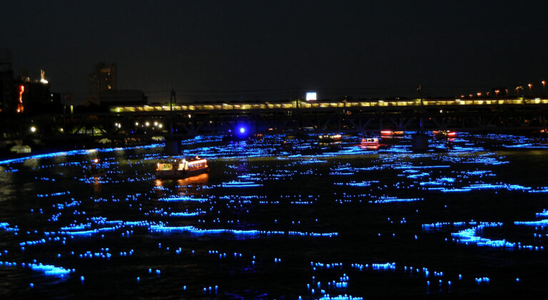 東京ホタルの光景写真