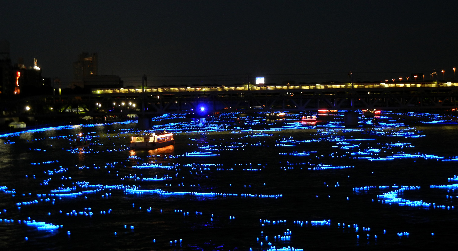 東京ホタルの光景写真