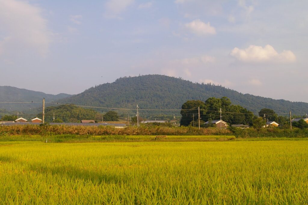 箸墓古墳から見える三輪山の光景写真